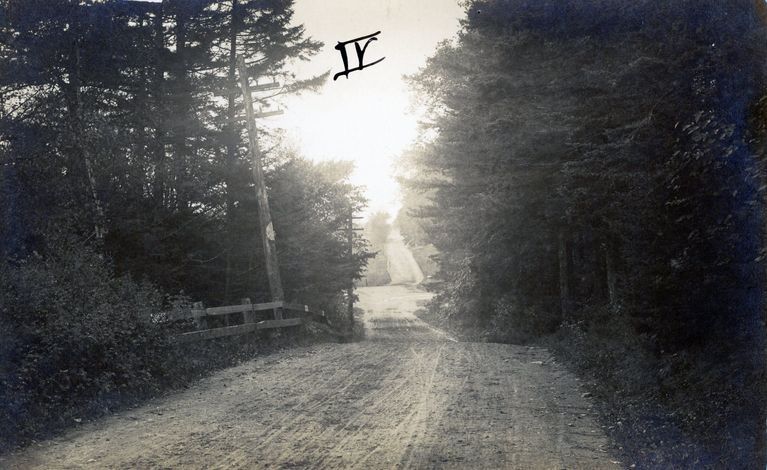          Willow Road, Dennysville, Maine picture number 1
   