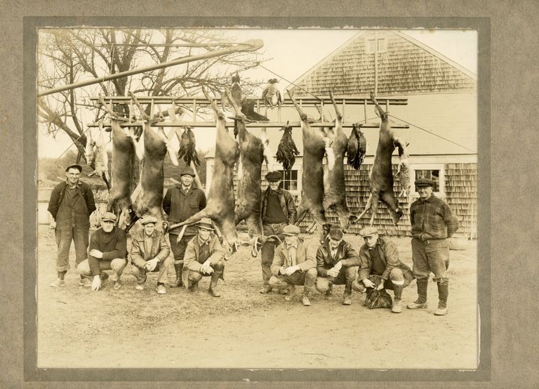          Deer Hunting Camp on the Dennys River, Dennysville, Maine
   