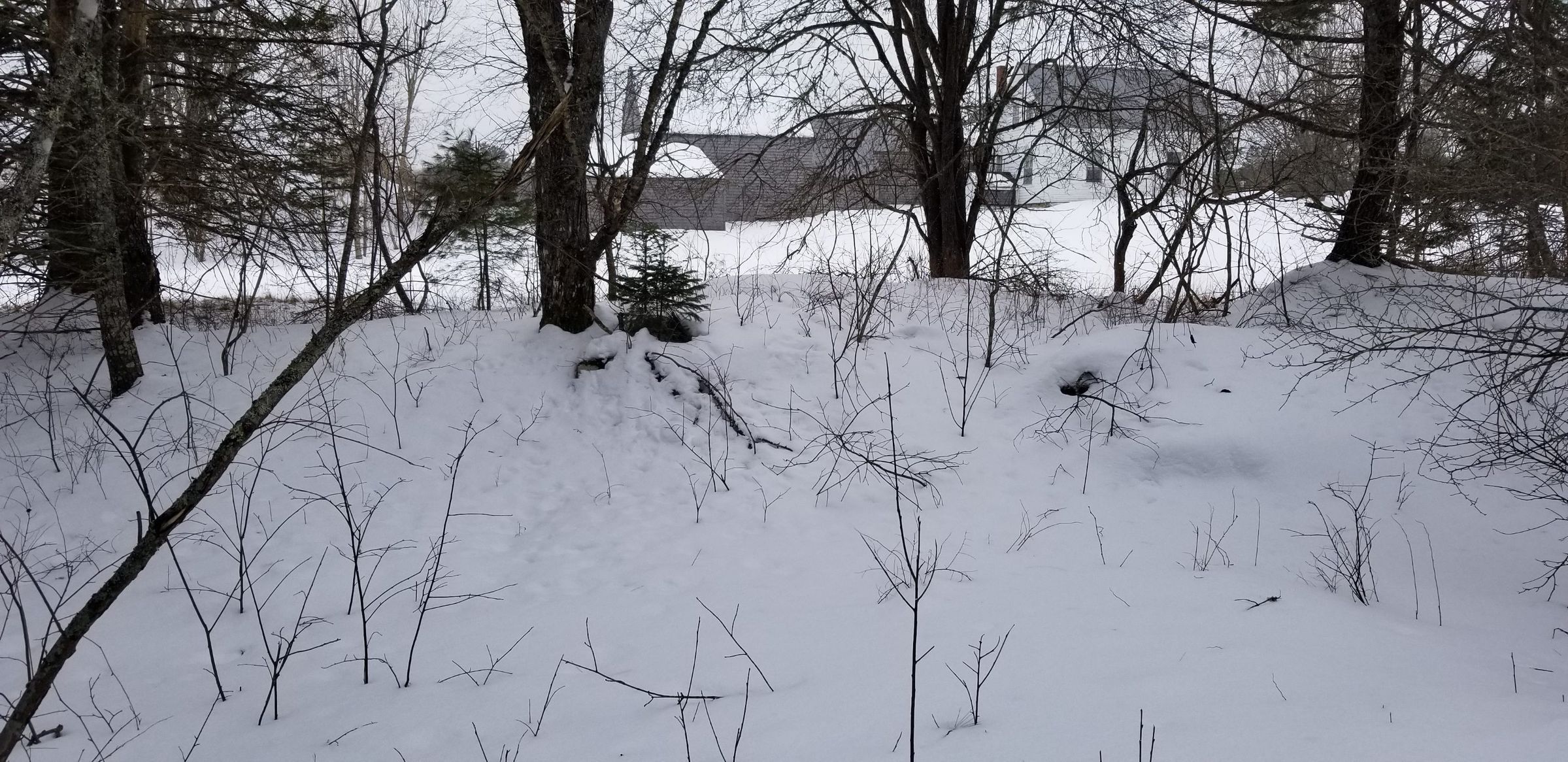 Original location of Abisha Cox house, off Rte. 86, Edmunds, Maine