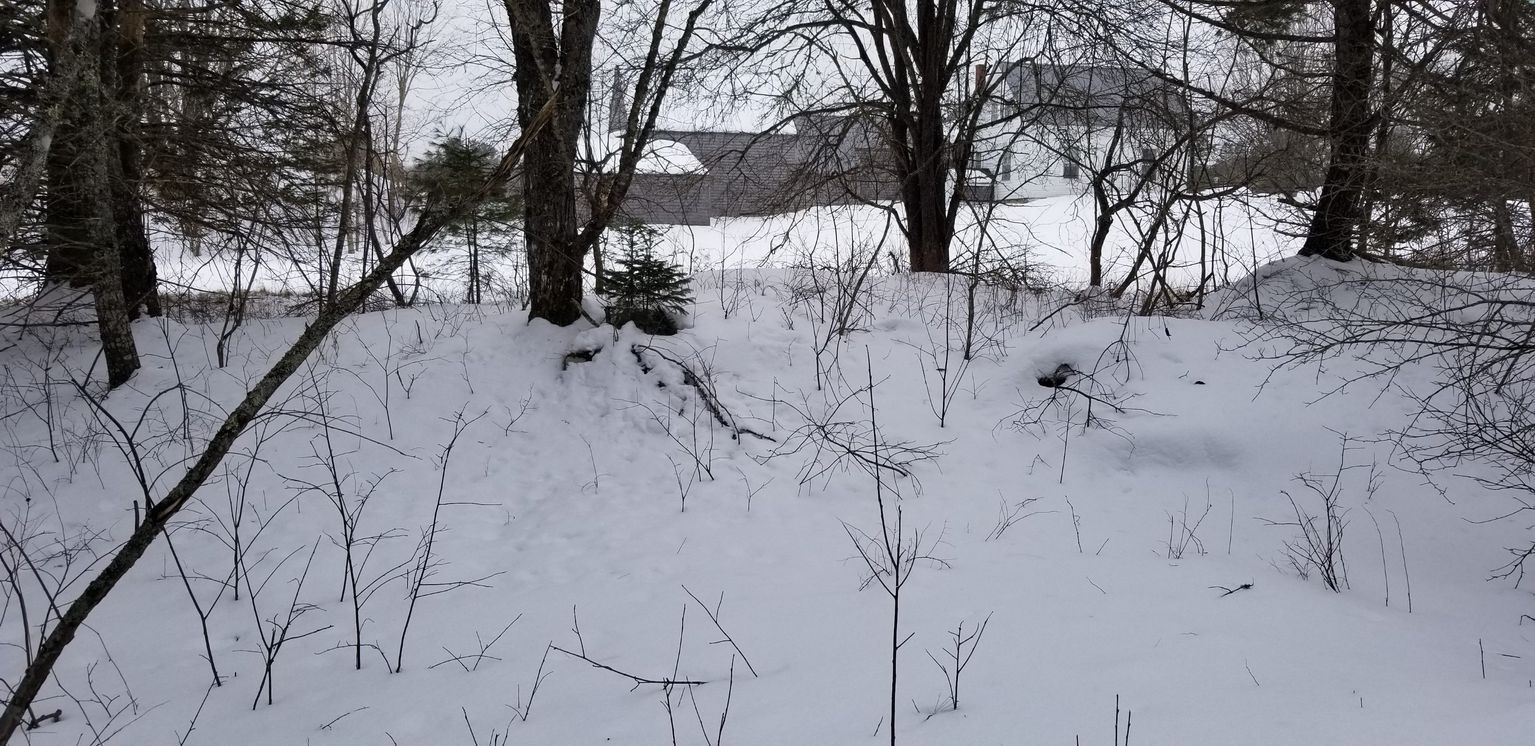 Contemporary Photographs