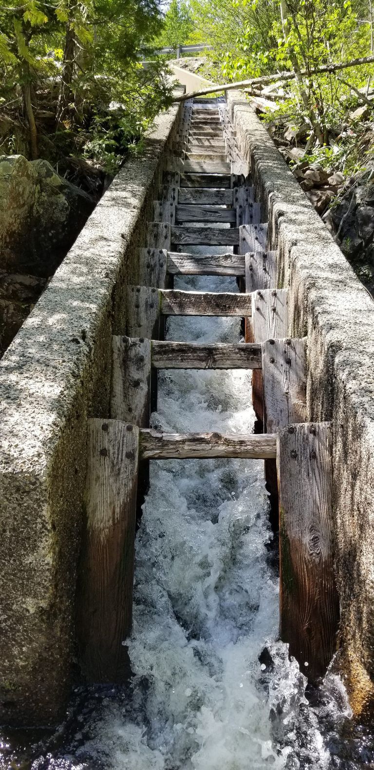          Fish ladder on the Cathance Stream below Route 86
   