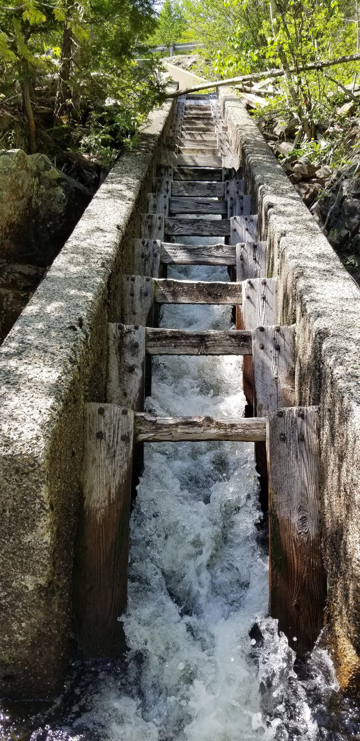 Fish ladder on the Cathance Stream below Route 86