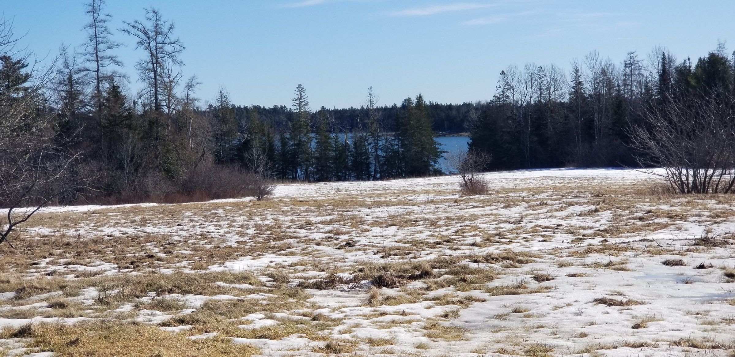 Belyea Cove, Edmunds, Maine; Field on Belyea Cove, now part of the Moosehorn National Wildlife Refuge.