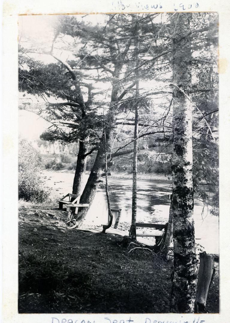          Deacon's Bench Overlooking the Dennys River; Photograph by Dr. John P. Sheahan of his 