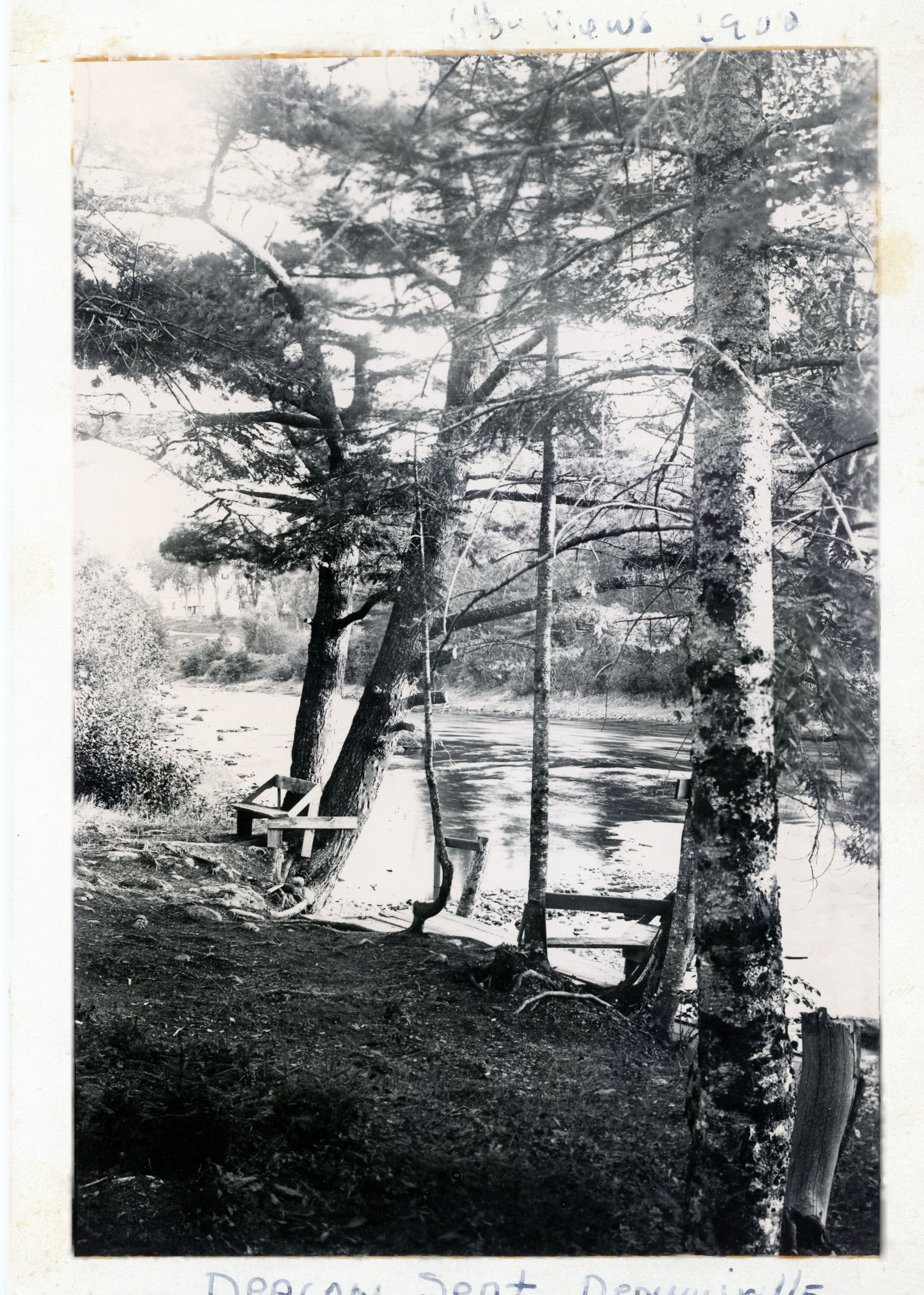 Deacon's Bench Overlooking the Dennys River; Photograph by Dr. John P. Sheahan of his