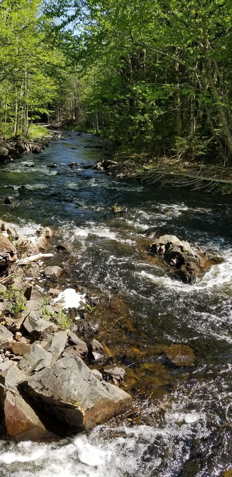          Site of shingle mill located on Cathance Stream in Marion, Maine.
   