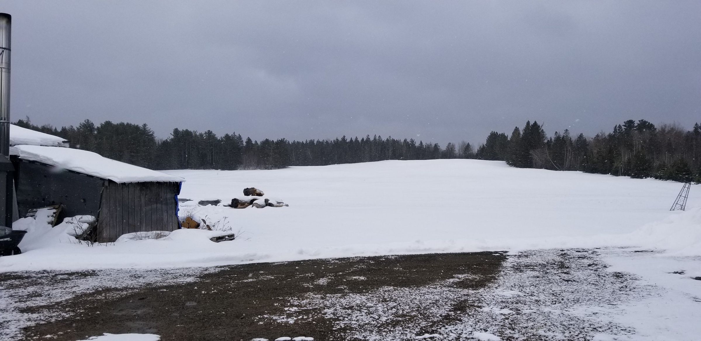 Site of a Former Commercial Hen Farming Operation, Edmunds, Maine