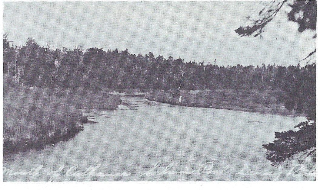Mouth of Cathance Salmon Pool, about 1938; Reproduced from