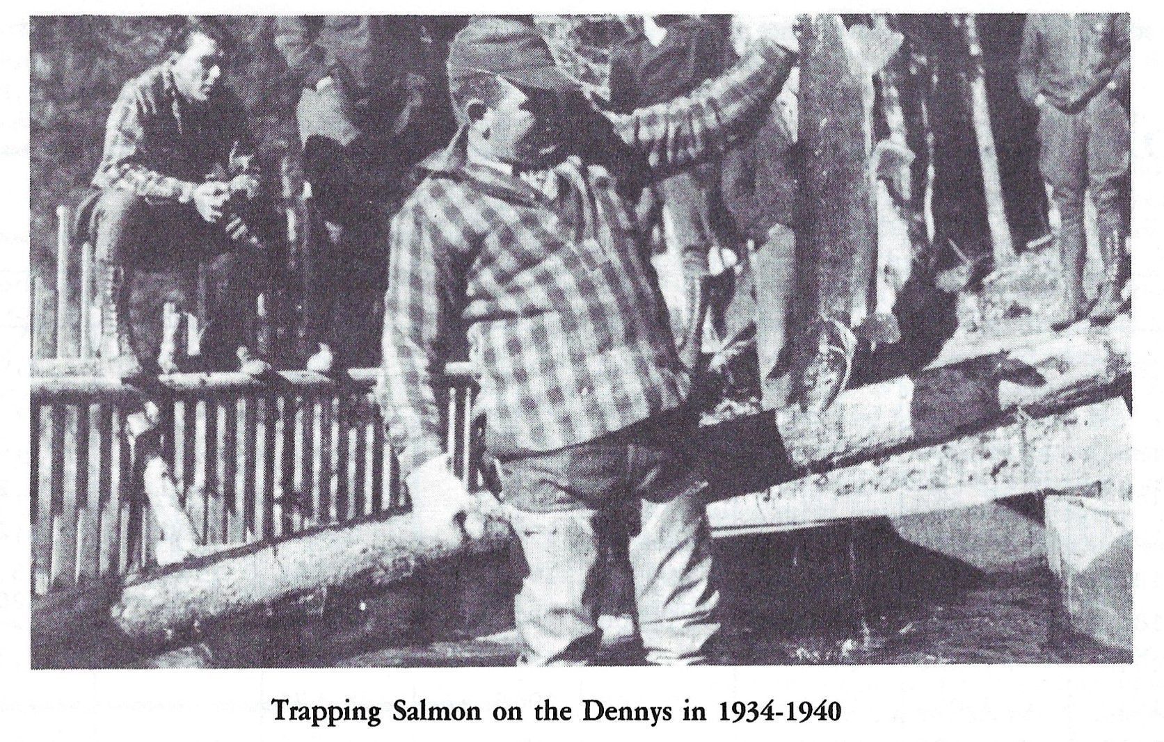 Trapping Salmon on the Dennys River 1934-1940; Image is reproduced from