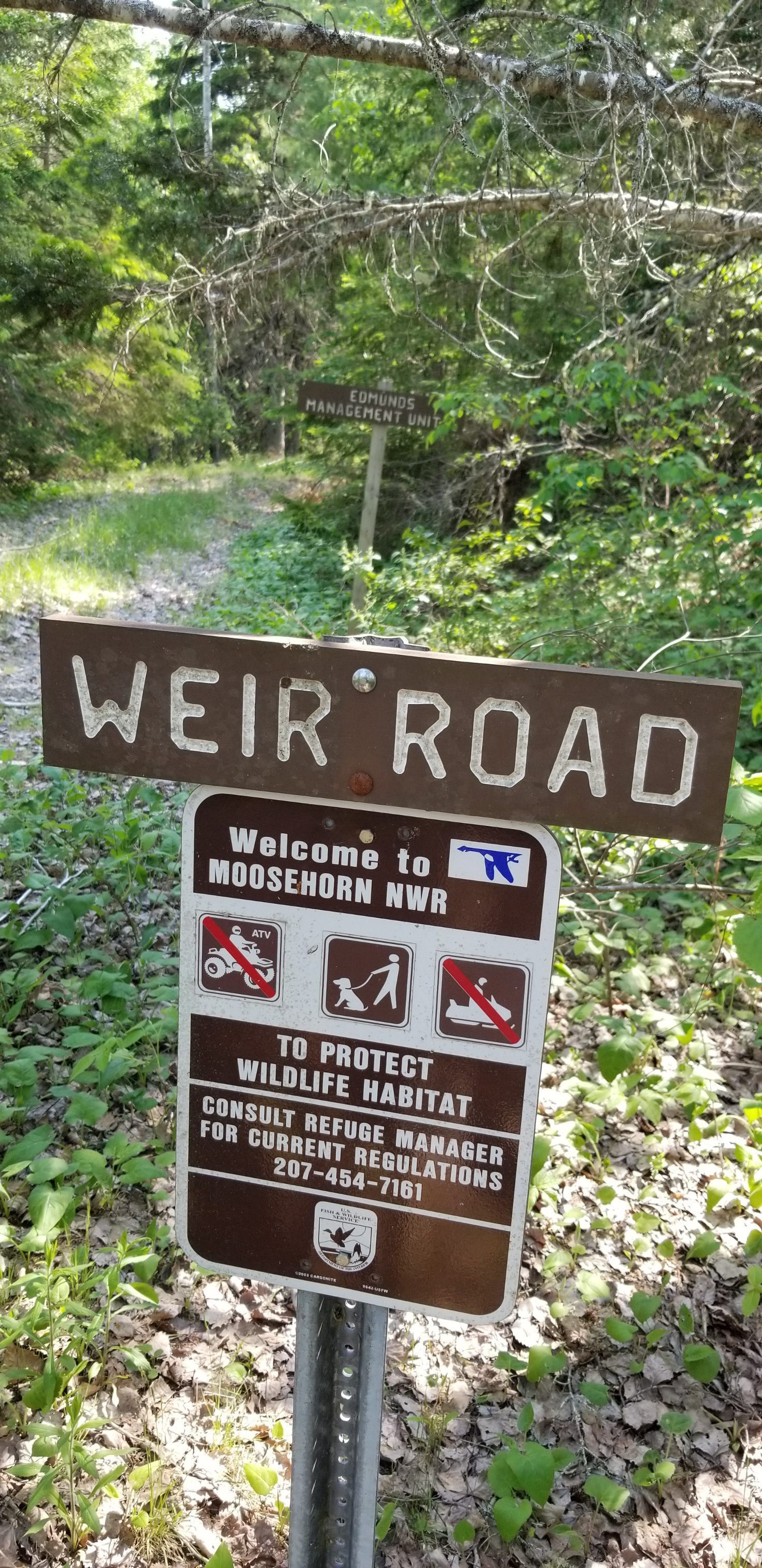 Weir Road trailhead in the Moosehorn Wildlife Refuge, Edmunds, Maine; Trailhead signage for the Weir Road on U.S. Route 1 denotes the point of access to the Weir Road as it follows Hobart Stream through the Moosehorn National Wildlife Refuge in Edmunds, Maine.