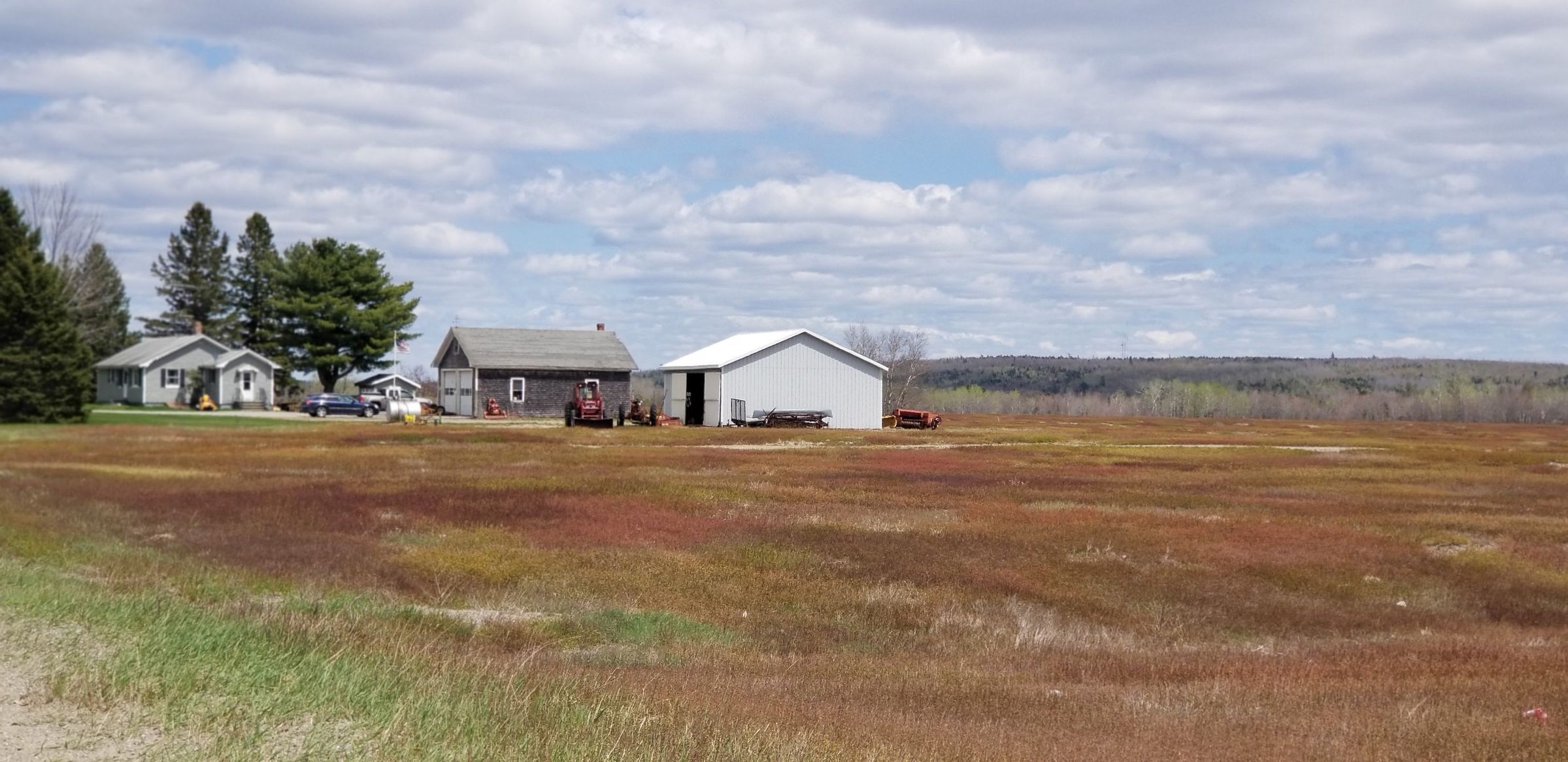 Farmhouse and Blueberry Field, Meddybemps, Maine
