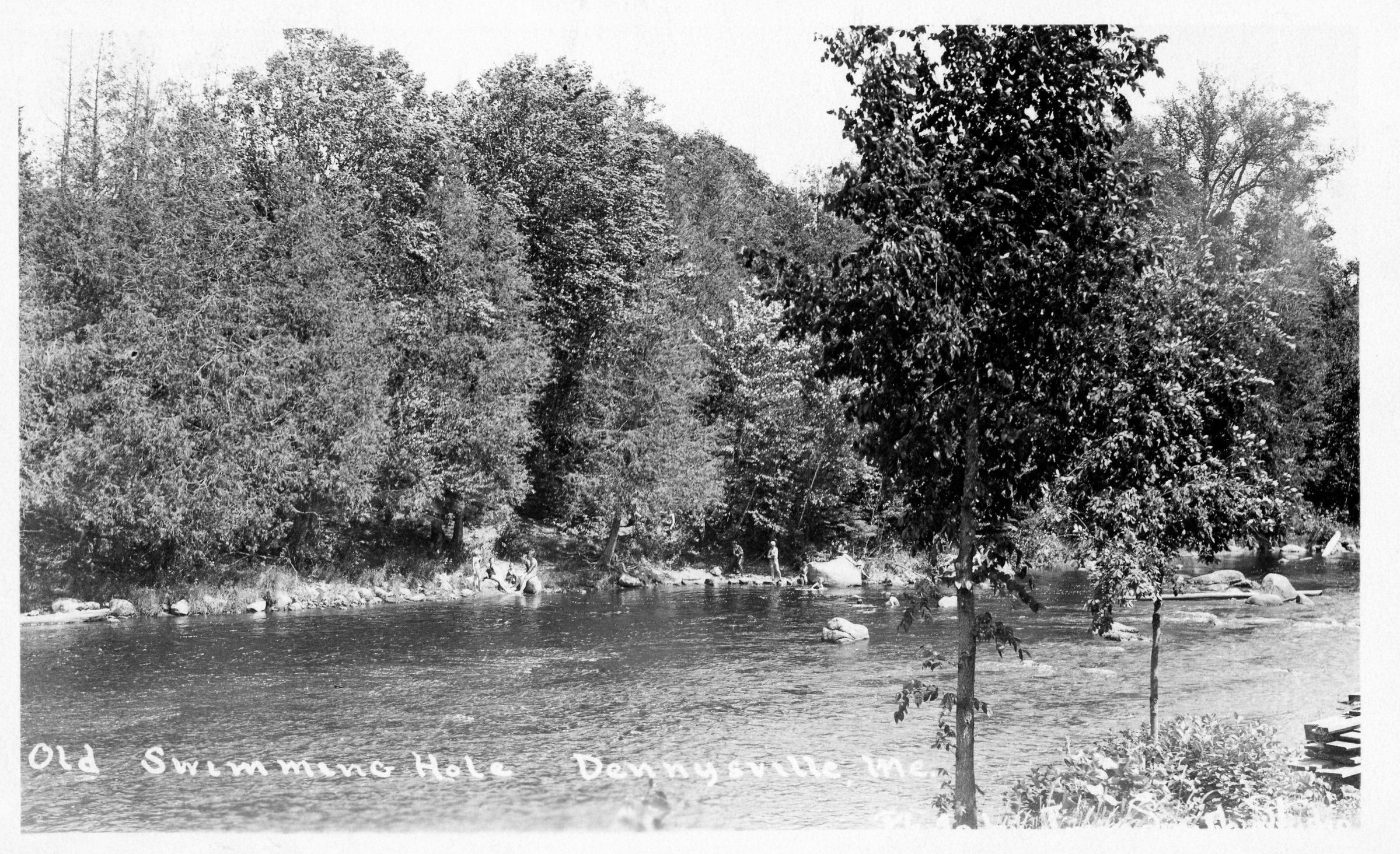 The Old Swimming Hole on the Dennys River.; Postcard image of bathers on the Edmunds side of the Dennys River, as seen from Dennysville, Maine. How many can you see?