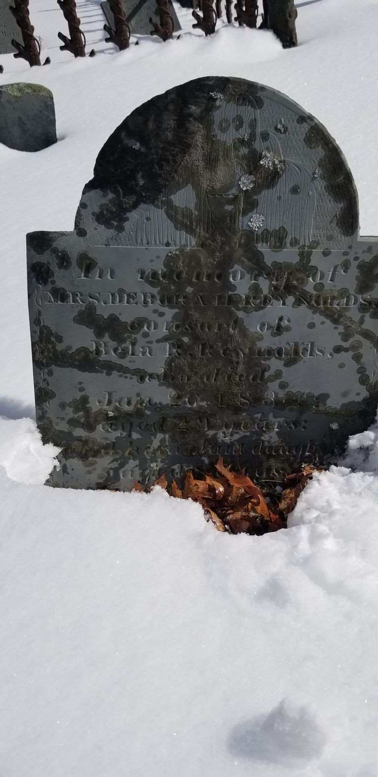          Bela and Deborah Reynolds Grave, Dennysville, Maine picture number 1
   