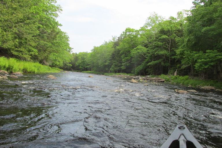          Entering Stoddard Rips on the Dennys River
   