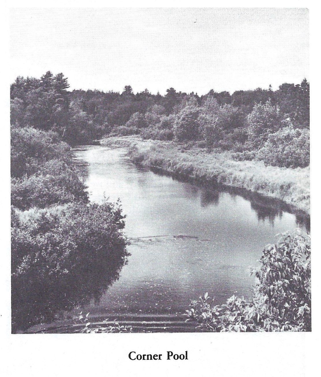 Corner Pool on the Dennys River, just above The Gut.; Reproduced from