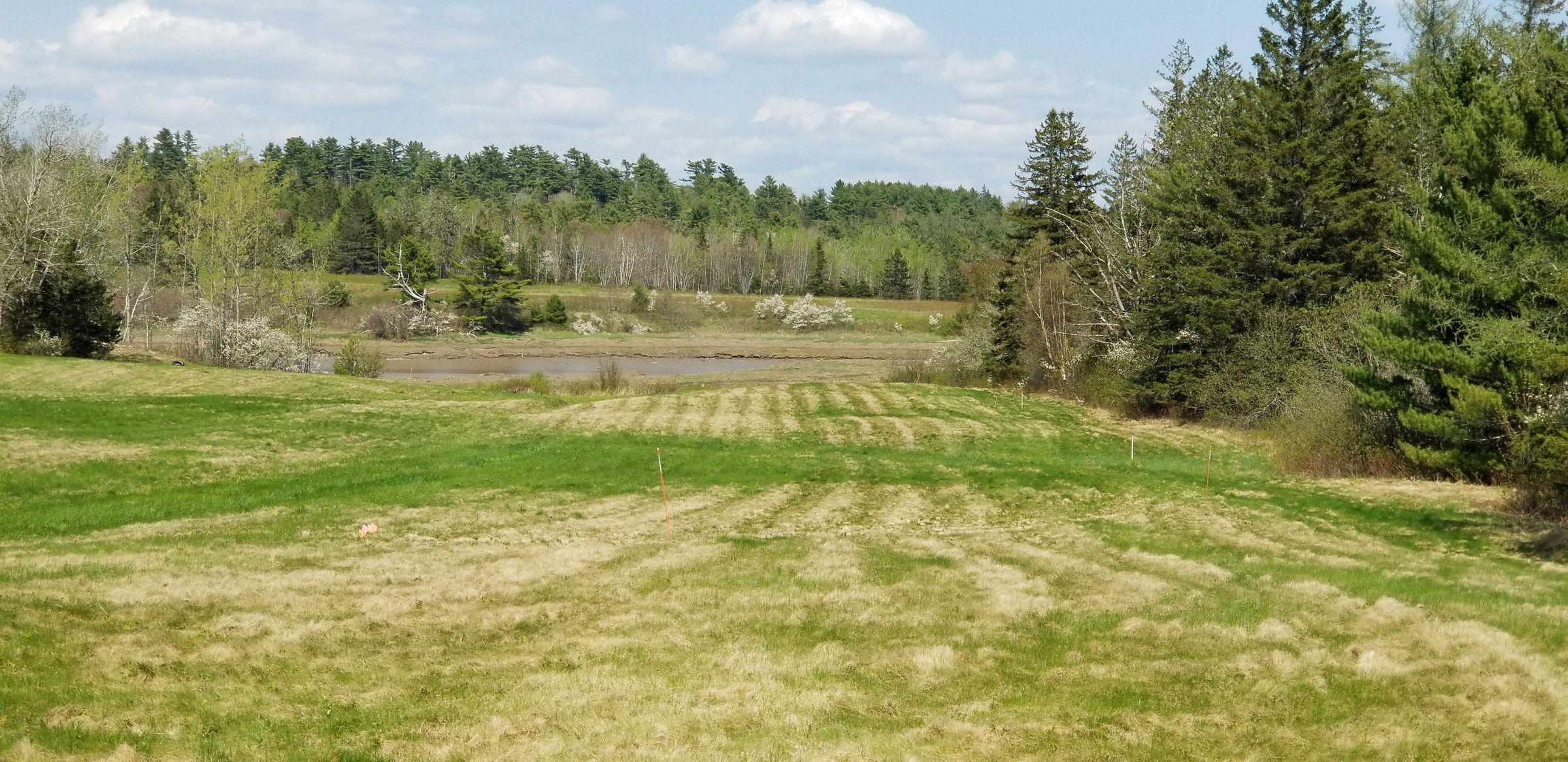 Riverside Field