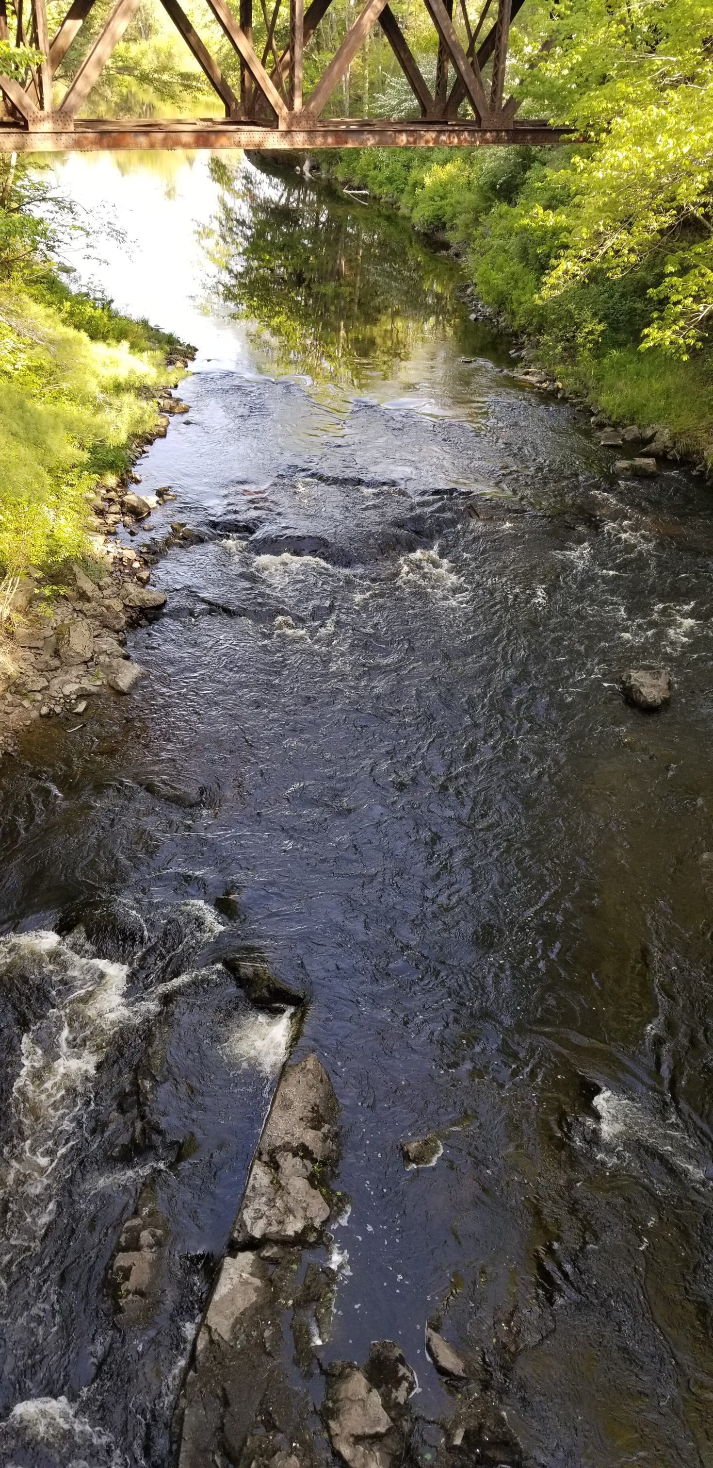 The Trestle Pool on the Dennys River; White water curls in the Dennys River as it flows under the bridge through the Trestle Pool.