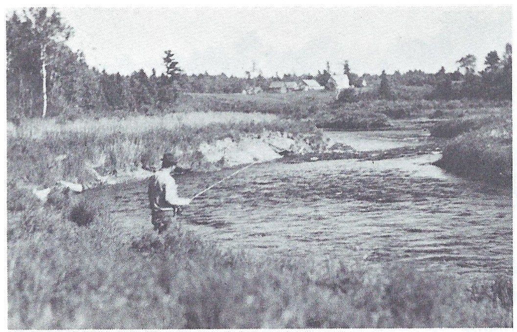 Fisher's Stump Pool on the Dennys River about 1940; Reproduced from