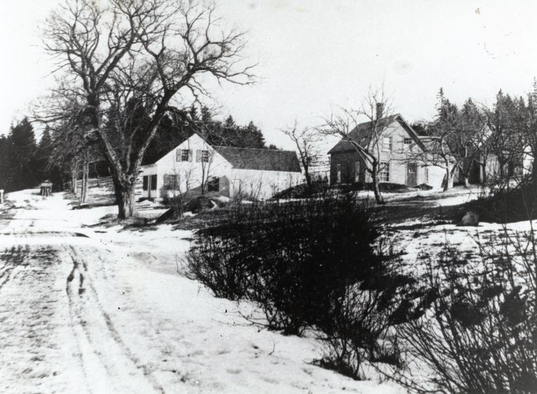          View of Cambridge and Hanson houses on the Preston (now River) Road, Edmunds, Maine; Left to right the homes of Harry Cambridge and John Hanson. The Hanson house later burned. For many years Keith and Joyce Damon owned and lived in the Cambridge house. He was the grandson of Harry Cambridge.
   