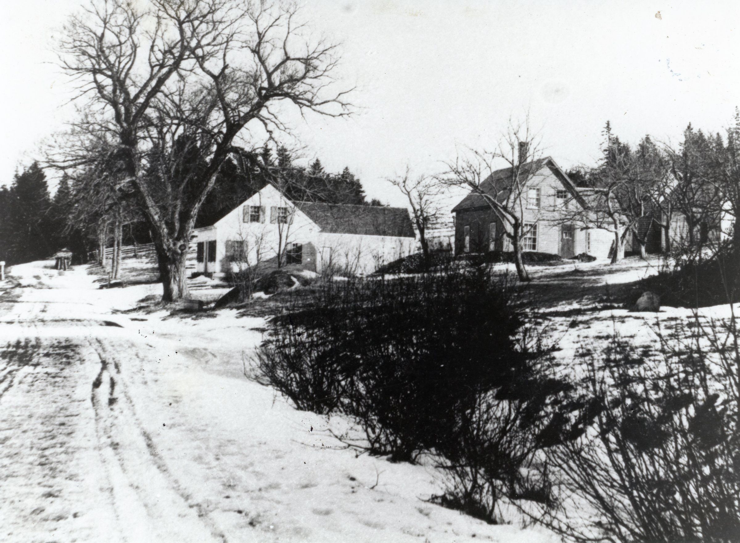 View of Cambridge and Hanson houses on the Preston (now River) Road, Edmunds, Maine; Left to right the homes of Harry Cambridge and John Hanson. The Hanson house later burned. For many years Keith and Joyce Damon owned and lived in the Cambridge house. He was the grandson of Harry Cambridge.