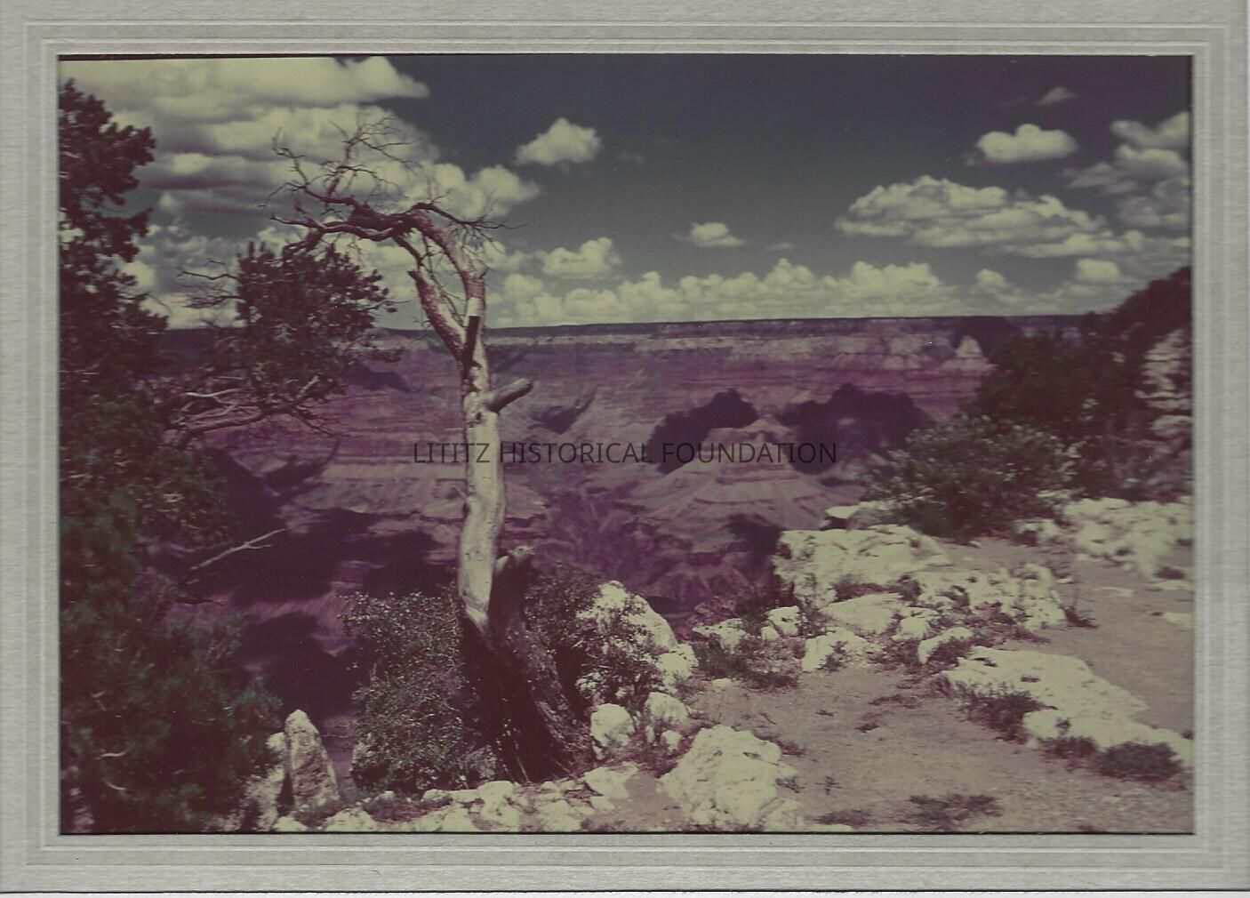 John Fass Collection